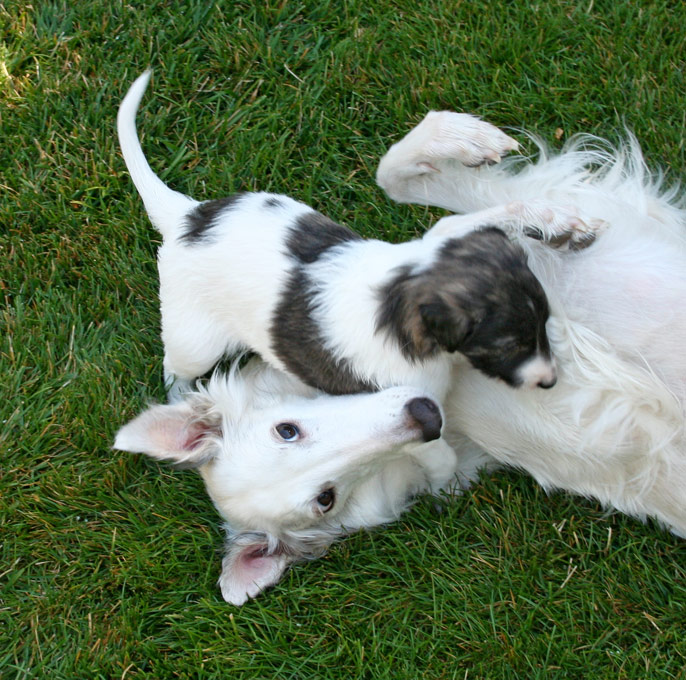 Surf Spots - Boy 2 with Storm